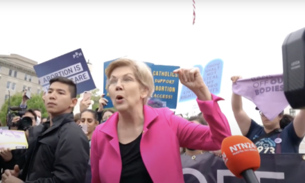 Warren’s Reaction To UnitedHealthcare CEO Murder Cements Democrats As Party Of Violence